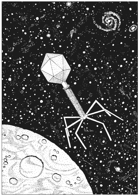 Иллюстрация к книге — Река, выходящая из Эдема. Жизнь с точки зрения дарвиниста [i_006.jpg]