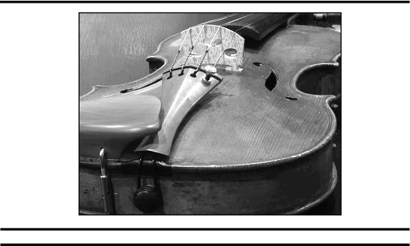 Иллюстрация к книге — Имя врага [i_012.jpg]