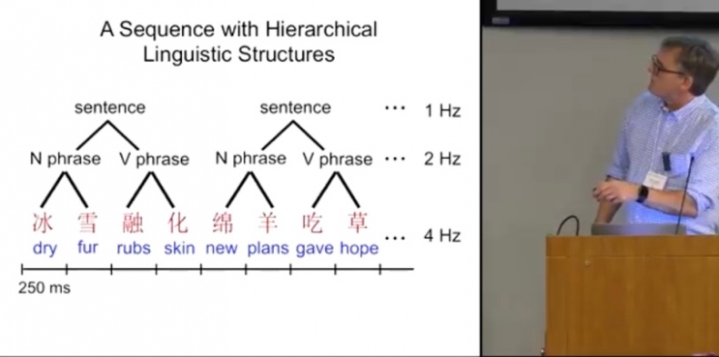 Иллюстрация к книге — Язык и мозг. Нейробиология раскрывает главную тайну человека [_11.jpg]