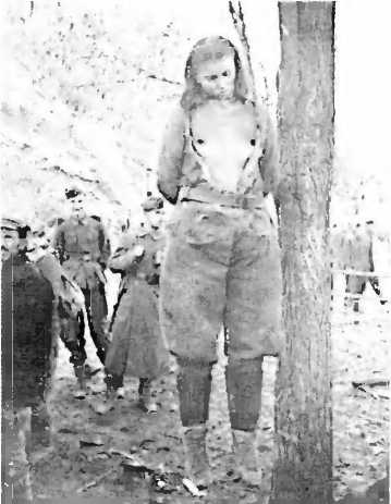 Иллюстрация к книге — История вермахта. Итоги [i_032.jpg]