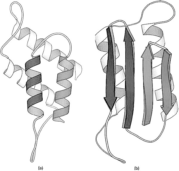 Иллюстрация к книге — Биология для тех, кто хочет понять и простить самку богомола [i_021.jpg]