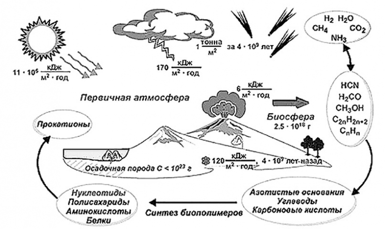 Иллюстрация к книге — Биология для тех, кто хочет понять и простить самку богомола [i_022.jpg]