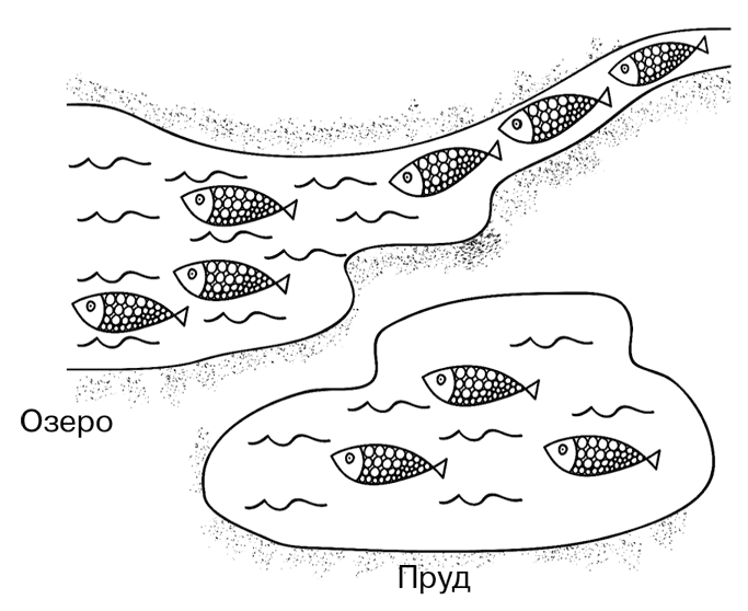 Иллюстрация к книге — Биология для тех, кто хочет понять и простить самку богомола [i_038.jpg]
