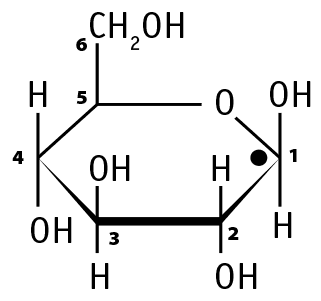 Иллюстрация к книге — Биология для тех, кто хочет понять и простить самку богомола [i_043.jpg]