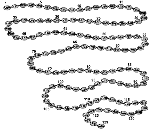 Иллюстрация к книге — Биология для тех, кто хочет понять и простить самку богомола [i_048.jpg]