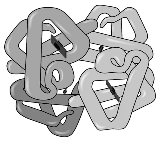 Иллюстрация к книге — Биология для тех, кто хочет понять и простить самку богомола [i_050.jpg]