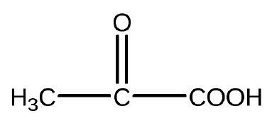 Иллюстрация к книге — Биология для тех, кто хочет понять и простить самку богомола [i_062.jpg]