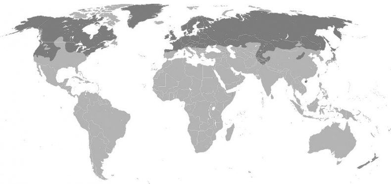 Иллюстрация к книге — Биология для тех, кто хочет понять и простить самку богомола [i_069.jpg]