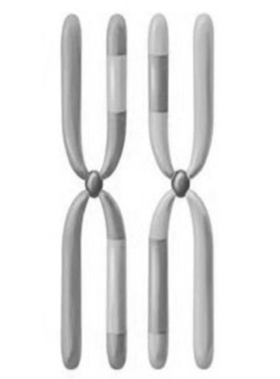 Иллюстрация к книге — Биология для тех, кто хочет понять и простить самку богомола [i_088.jpg]