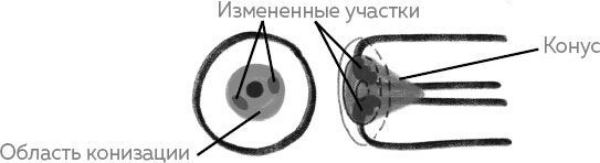 Иллюстрация к книге — Ab Ovo. Путеводитель для будущих мам: об особенностях женской половой системы, зачатии и сохранении беременности [img_7.jpg]