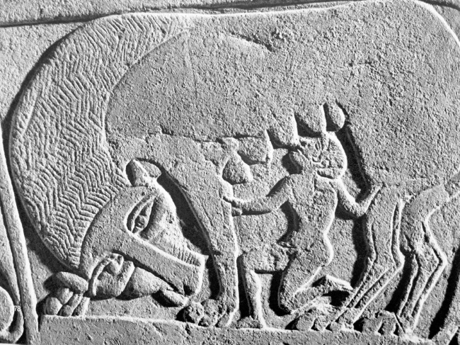 Иллюстрация к книге — Италия. Полная история страны [i_006.jpg]