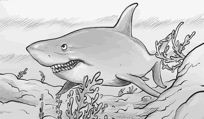 Иллюстрация к книге — Охотники за призраками. Лови волну, страшилка! [i_006.jpg]