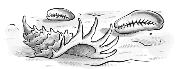 Иллюстрация к книге — Охотники за призраками. Лови волну, страшилка! [i_029.jpg]