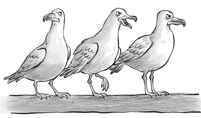 Иллюстрация к книге — Охотники за призраками. Лови волну, страшилка! [i_062.jpg]