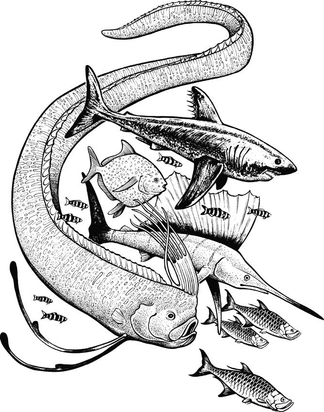 Иллюстрация к книге — О чём молчат рыбы. Путеводитель по жизни морских обитателей [i_001.jpg]