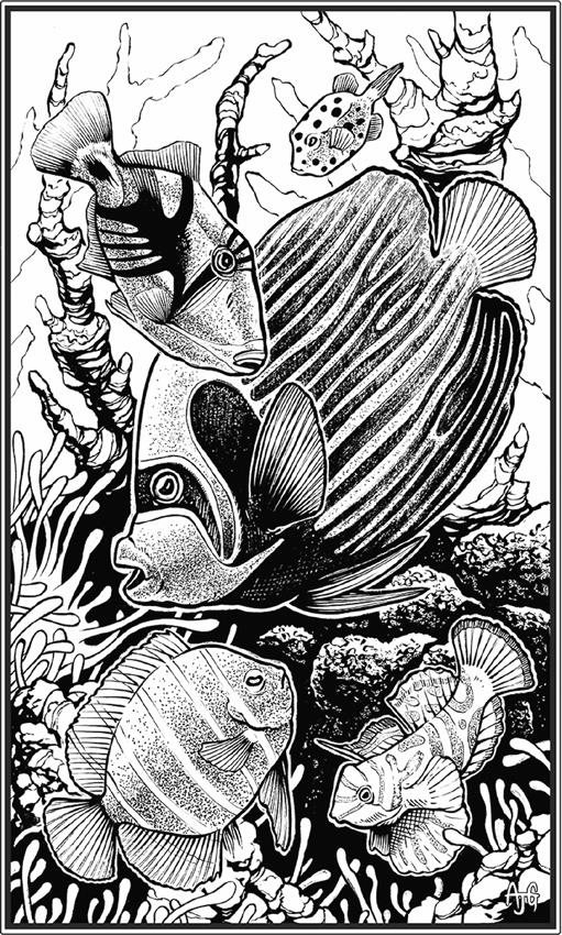 Иллюстрация к книге — О чём молчат рыбы. Путеводитель по жизни морских обитателей [i_029.jpg]