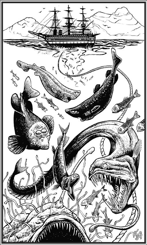 Иллюстрация к книге — О чём молчат рыбы. Путеводитель по жизни морских обитателей [i_041.jpg]