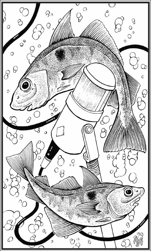 Иллюстрация к книге — О чём молчат рыбы. Путеводитель по жизни морских обитателей [i_079.jpg]