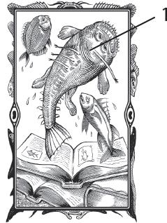 Иллюстрация к книге — О чём молчат рыбы. Путеводитель по жизни морских обитателей [i_096.jpg]