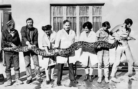 Иллюстрация к книге — Поговори со мной… Записки ветеринара [i_001.jpg]