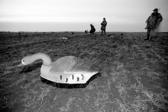 Иллюстрация к книге — Про тайгу и про охоту. Воспоминания, рекомендации, извлечения [image101_57041258097fc8050035a668_jpg.jpg]