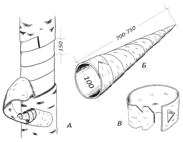Иллюстрация к книге — Про тайгу и про охоту. Воспоминания, рекомендации, извлечения [image117_5707e711097fc805003888d7_jpg.jpg]