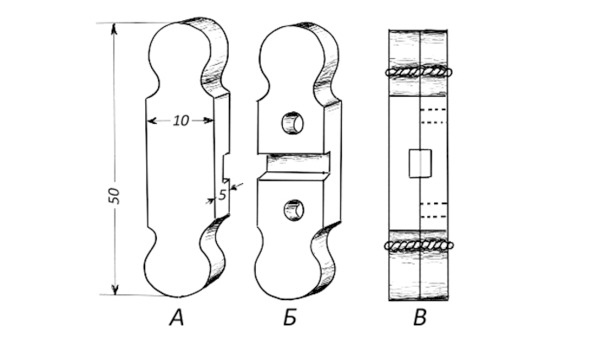 Иллюстрация к книге — Про тайгу и про охоту. Воспоминания, рекомендации, извлечения [image119_5708b45b097fc8050038f1a7_jpg.jpg]