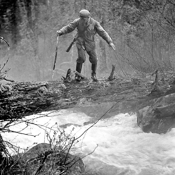 Иллюстрация к книге — Про тайгу и про охоту. Воспоминания, рекомендации, извлечения [image137_5c76cb5176e5a00600a0891e_jpg.jpg]