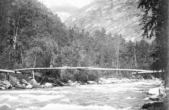 Иллюстрация к книге — Про тайгу и про охоту. Воспоминания, рекомендации, извлечения [image139_5c76cf04e5dcb0060000c680_jpg.jpg]