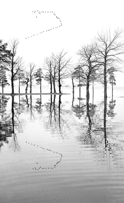 Иллюстрация к книге — Про тайгу и про охоту. Воспоминания, рекомендации, извлечения [image142_5c8a94032f97910600191d81_jpg.jpg]