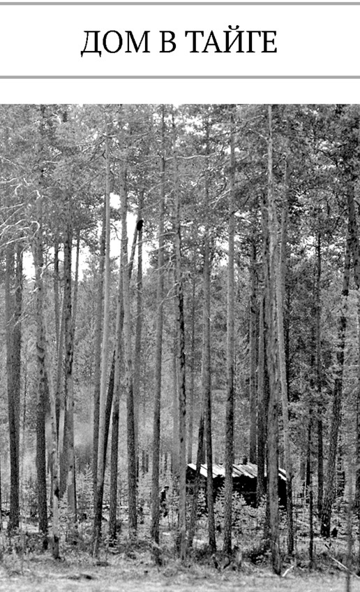 Иллюстрация к книге — Про тайгу и про охоту. Воспоминания, рекомендации, извлечения [image16_5c7d7010eb123906002ac2eb_jpg.jpg]