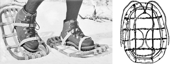 Иллюстрация к книге — Про тайгу и про охоту. Воспоминания, рекомендации, извлечения [image51_56e541627030580600cc4541_jpg.jpg]