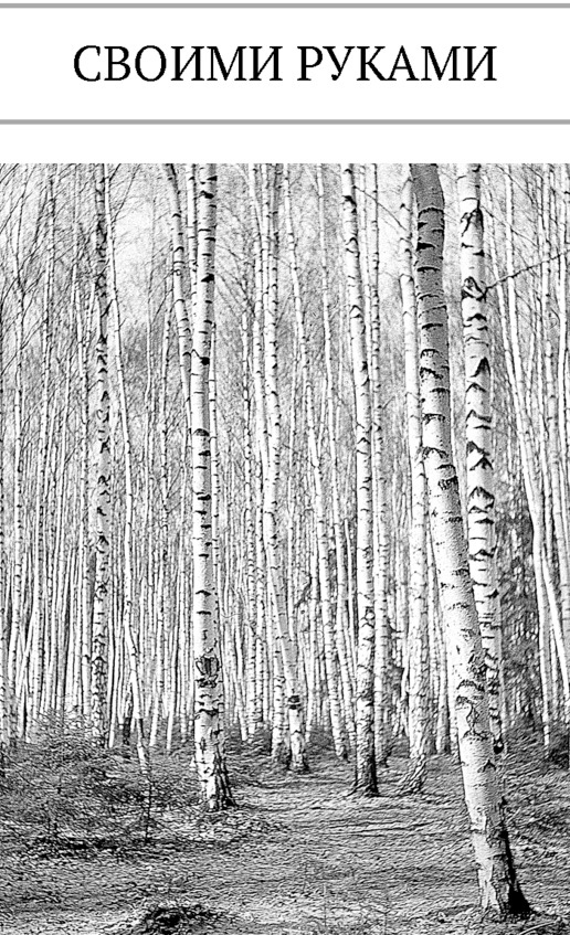 Иллюстрация к книге — Про тайгу и про охоту. Воспоминания, рекомендации, извлечения [image83_5c7d7307eb123906002ac407_jpg.jpg]