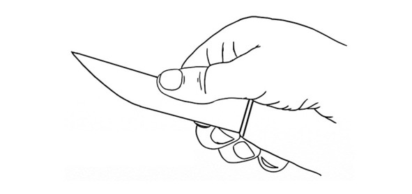 Иллюстрация к книге — Про тайгу и про охоту. Воспоминания, рекомендации, извлечения [image85_5c7559ef76e5a006009ff68b_jpg.jpg]