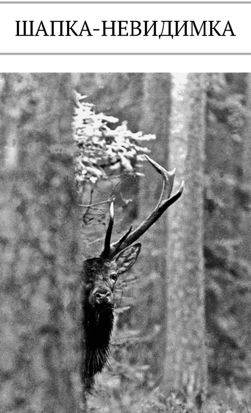 Иллюстрация к книге — Про тайгу и про охоту. Воспоминания, рекомендации, извлечения [image92_5c7d733576e5a00600a294dc_jpg.jpg]