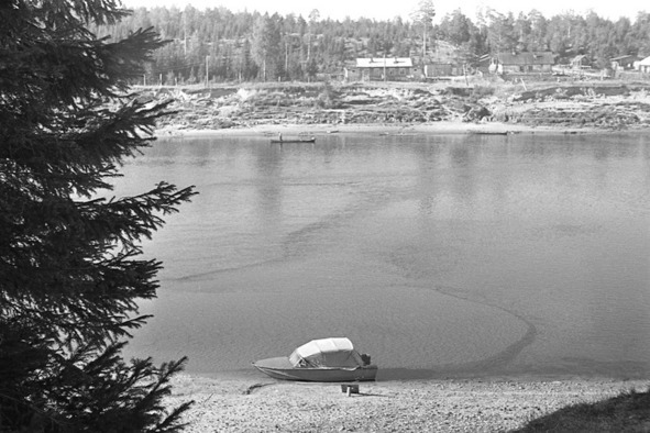 Иллюстрация к книге — Моя тропа. Очерки о природе [image23_56a883c5e2a0fb0500ca139e_jpg.jpg]