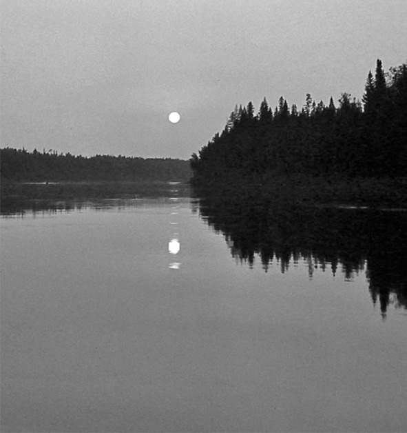 Иллюстрация к книге — Моя тропа. Очерки о природе [image25_5c5c7cc367fdf40600a6eff1_jpg.jpg]