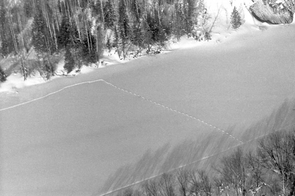 Иллюстрация к книге — Моя тропа. Очерки о природе [image33_56a8fa8ae2a0fb0500ca8ca8_jpg.jpg]