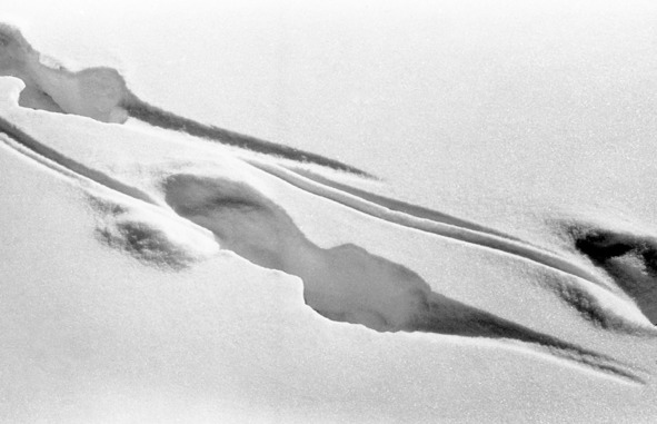 Иллюстрация к книге — Моя тропа. Очерки о природе [image38_56a8fe86e2a0fb0500ca901d_jpg.jpg]