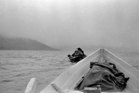 Иллюстрация к книге — Моя тропа. Очерки о природе [image47_5c506f652691ba07005fa913_jpg.jpg]