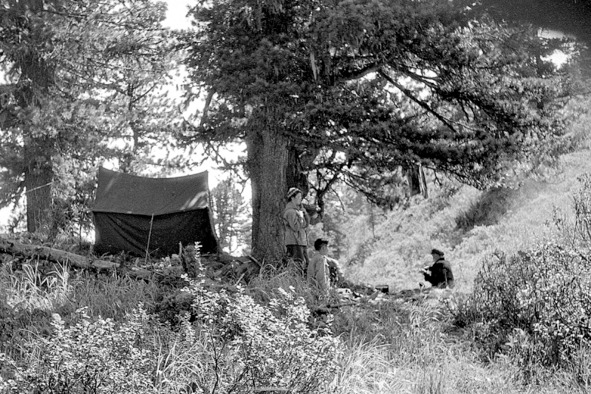 Иллюстрация к книге — Моя тропа. Очерки о природе [image49_56a9162ae2a0fb0500caaaf5_jpg.jpg]