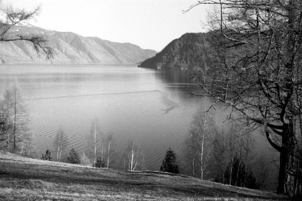 Иллюстрация к книге — Моя тропа. Очерки о природе [image51_56a91a42e2a0fb0500caaf95_jpg.jpg]