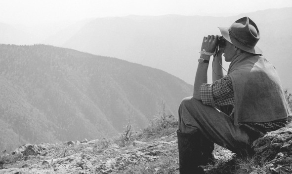 Иллюстрация к книге — Моя тропа. Очерки о природе [image54_56a9c222e2a0fb0500caf3f4_jpg.jpg]