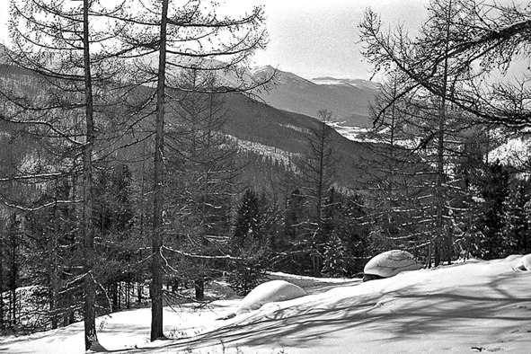 Иллюстрация к книге — Моя тропа. Очерки о природе [image62_5c5dc3819cff9c0a007c65bc_jpg.jpg]