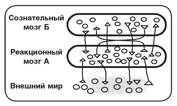 Иллюстрация к книге — Машина эмоций [i_029.jpg]