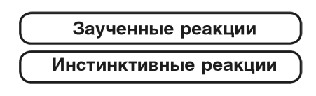 Иллюстрация к книге — Машина эмоций [i_041.jpg]