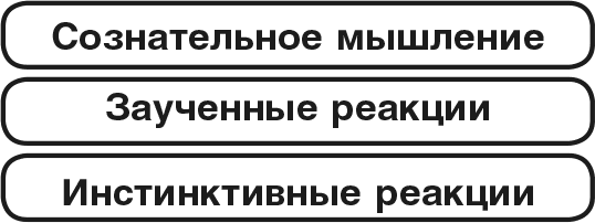 Иллюстрация к книге — Машина эмоций [i_053.jpg]