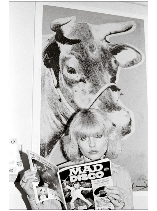 Иллюстрация к книге — Сердце из стекла. Откровения солистки Blondie [i_040.jpg]