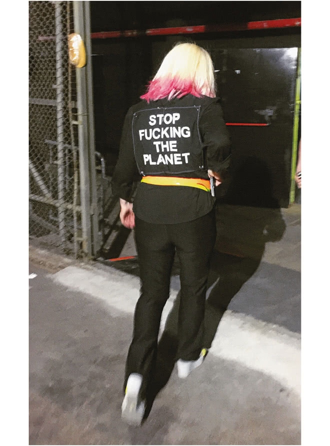 Иллюстрация к книге — Сердце из стекла. Откровения солистки Blondie [i_122.jpg]