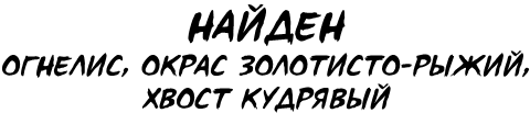 Иллюстрация к книге — Эва Эвергрин, полуволшебная ведьма [i_016.jpg]